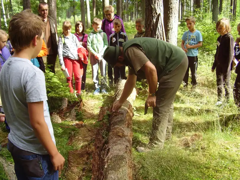 Pedagog