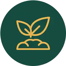 Rostlina